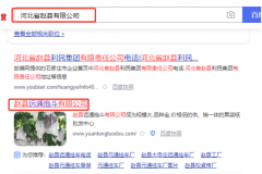 趙縣*通拖斗有限公司網站建設案例欣賞