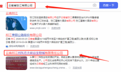 云南怒江州東*大峽谷生物城有限責(zé)任公司網(wǎng)站建設(shè)新一代自助建站、智能建站系統(tǒng)