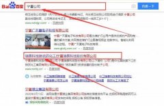 寧夏瑞*科技股份有限公司網(wǎng)站建設(shè)平面設(shè)計案例作品