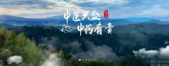 普洱淞*醫(yī)藥集團有限公司網(wǎng)站建設新一代自助建站、智能建站系統(tǒng)