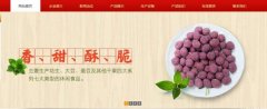紅太*食品(榮成)有限公司制作網(wǎng)站新一代自助建站、智能建站系統(tǒng)