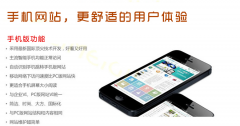 手機(jī)網(wǎng)站設(shè)計秘籍：從用戶體驗(yàn)到轉(zhuǎn)化率狂飆
